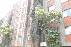 WOOD AVENUE APARTMENTS KILIMANI